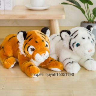 Gấu bông cọp vằn 20-50cm
