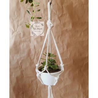 Dây Treo Mini Chậu Cây Trang Trí Decor Góc Nhỏ ,Treo Trang trí Gương Chiếu Hậu Ô Tô...