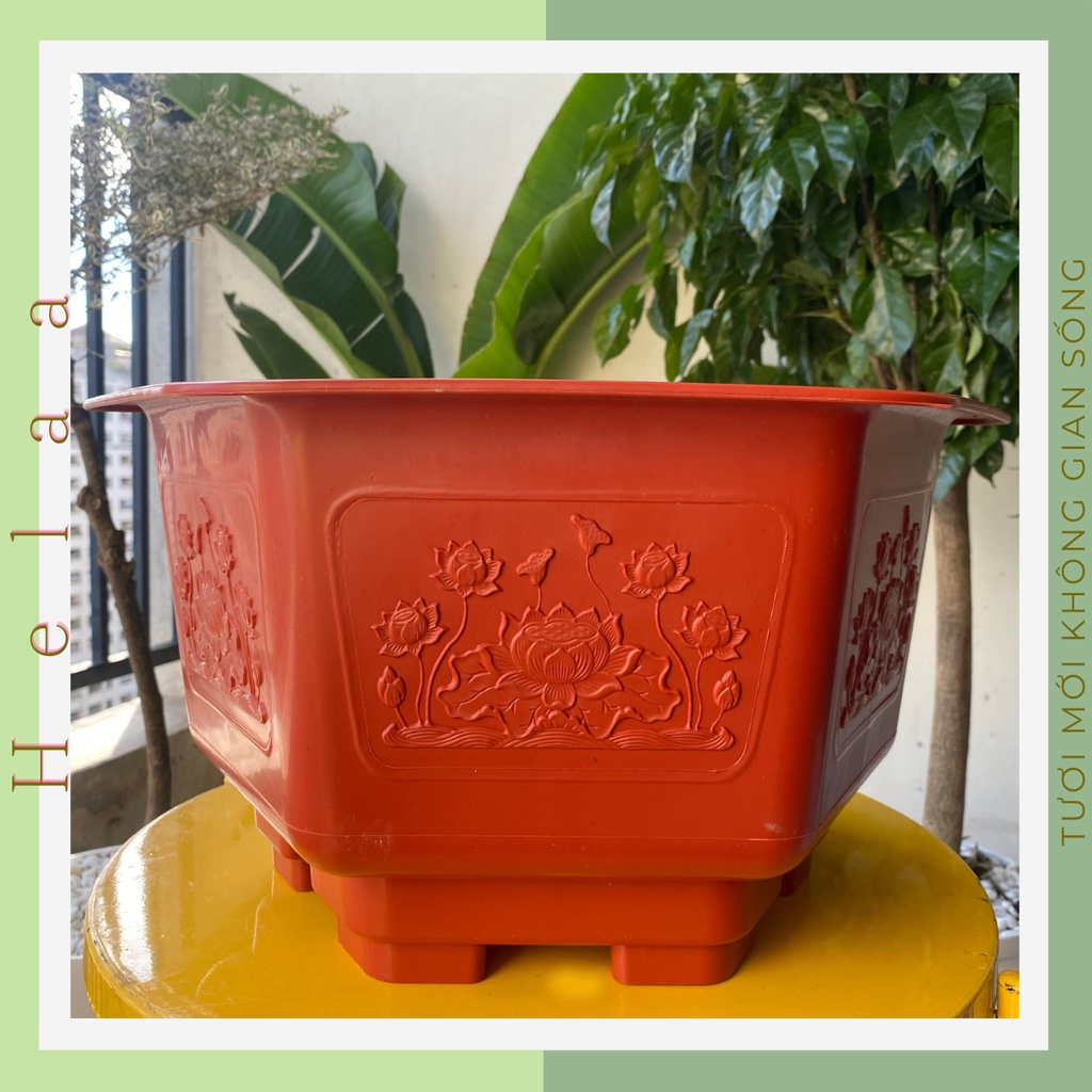 Chậu Nhựa Trồng Cây Lớn Lục Giác Đế Cao, Chậu Cây Cảnh To, Trồng Cây Hoa, Trong Nhà, Sân Vườn - Truyền Thống, Hiện Đại