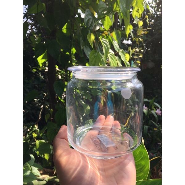 HỦ GIA VỊ / TRANG TRI Hủ Thuỷ Tinh Luminarc