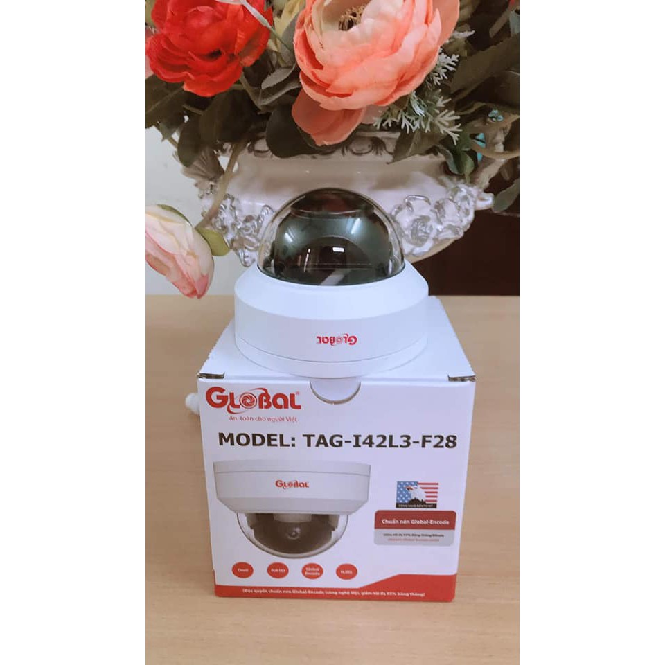 Camera IP Dome 2.0mp Global TAG-I42L3-F28