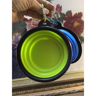 BÁT DU LỊCH CHÓ MÈO