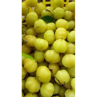 chùm ruột rim 1kg