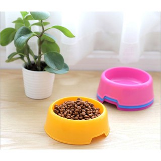 Bát nhựa đựng thức ăn cho chó mèo