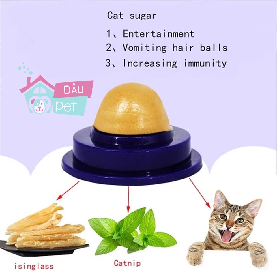 Kẹo mút canip dán tường cho mèo giúp thư giản