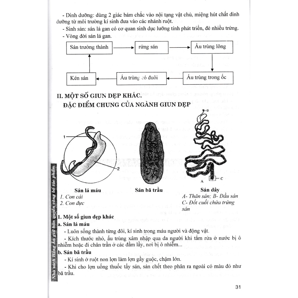 Sách Tham Khảo - Bồi Dưỡng Học Sinh Giỏi Sinh Học 7 - Phan Khắc Nghệ - HA