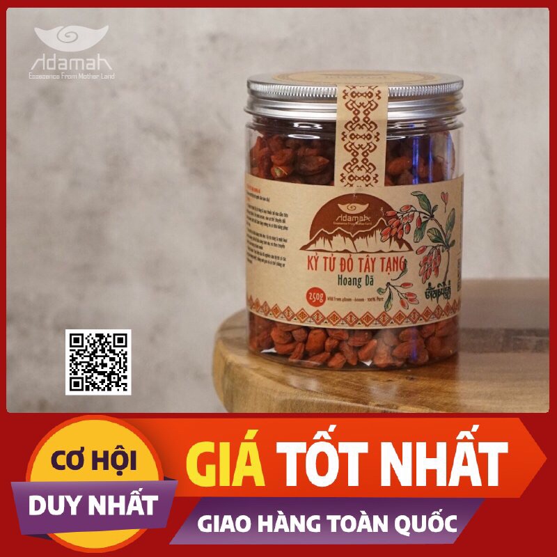 Kỷ tử Tây Tạng