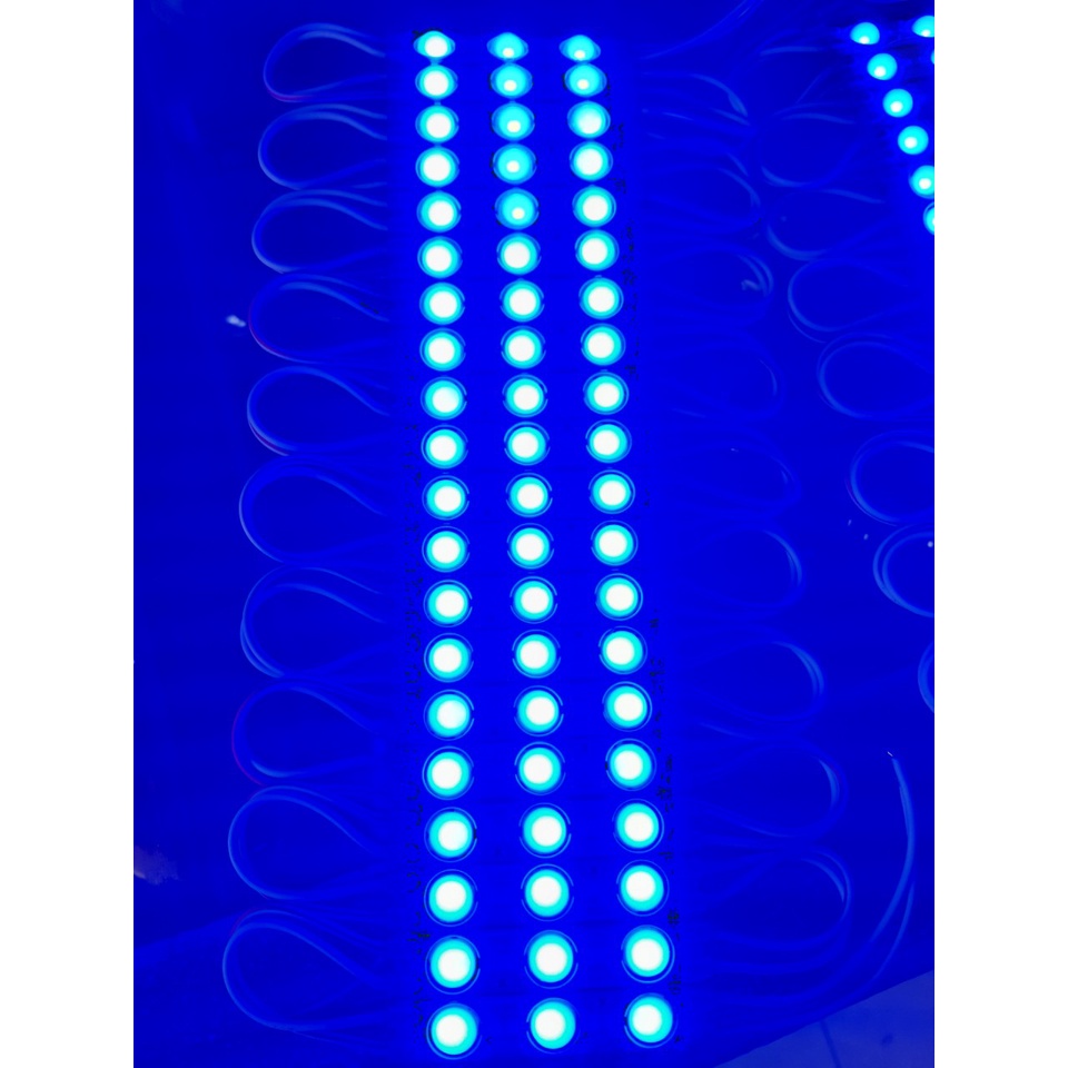1 VỈ 20 BÓNG LED 3 BÓNG 6011 MÀU XANH DƯƠNG