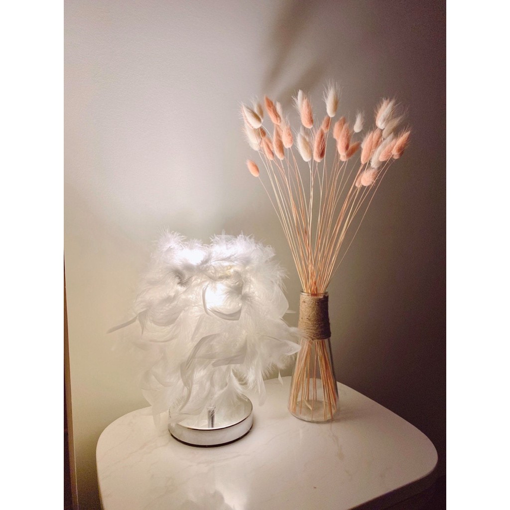 Lọ hoa Bunny Tails khô decor xinh xinh