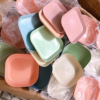 Sỉ 10 Bộ 8 Đĩa Lúa Mạch Màu Pastel