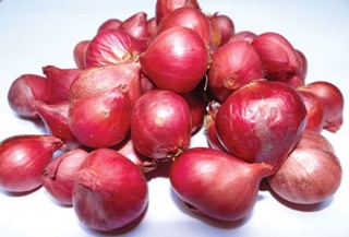 HÀNH PHI GIÒN KHÔ ANL FARM 1kg