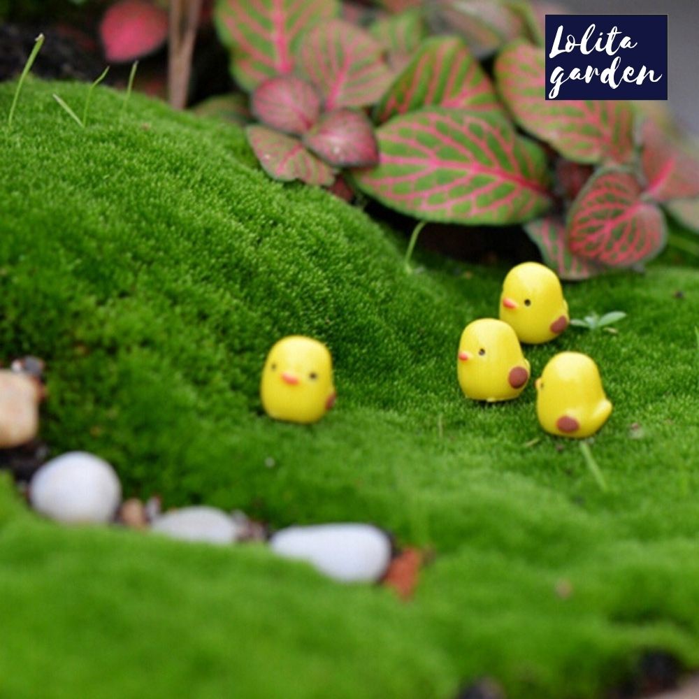 Phụ kiện 5 chú gà con Lolita garden siêu đáng yêu