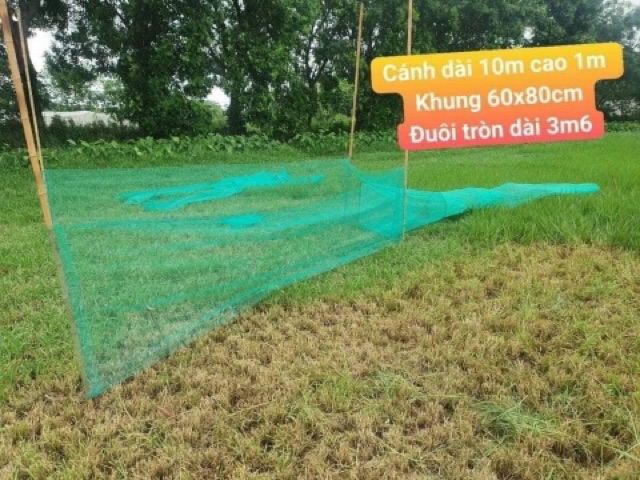 xăm cánh chặn sông dài 10m cao 1,7m khung 60 x80 cm y hình