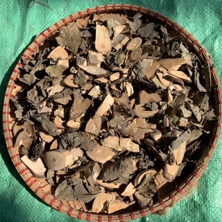Thảo Dược cây Muồng Trâu khô sạch