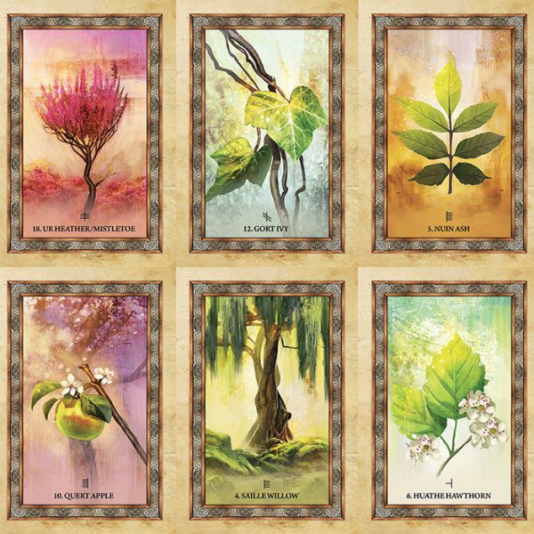 Bộ Bài Celtic Tree Oracle (Mystic House Tarot Shop)