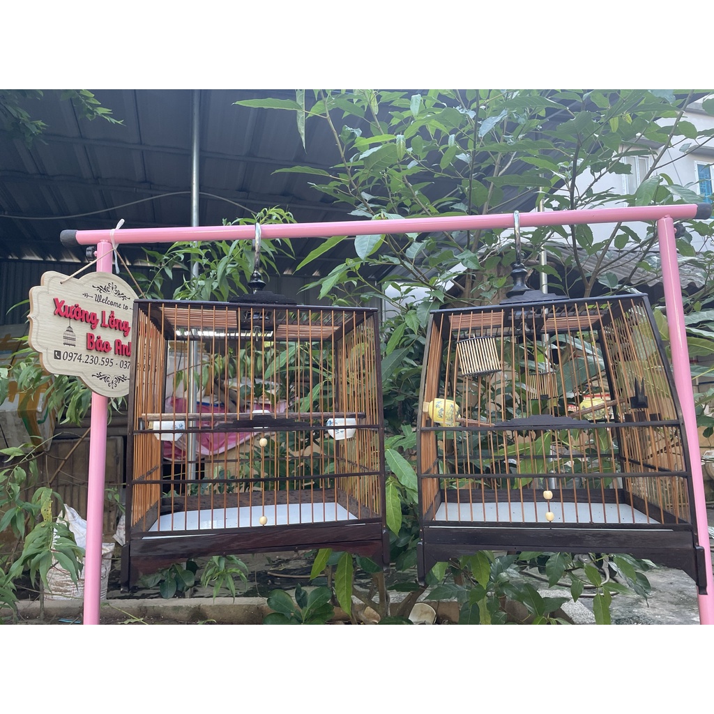 Khung Lồng Chim Chào Mào Gỗ Mun Đuôi Công ⚡TẶNG XIÊN HOA QUẢ ⚡ Vân Gỗ Cực Đẹp - Dễ Ráp - Chắc Chắn