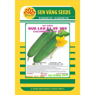 Gói 1gr hạt giống dưa leo f1 sv 305 sai trái dễ trồng