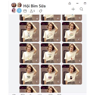 Combo sỉ áo thun hè
