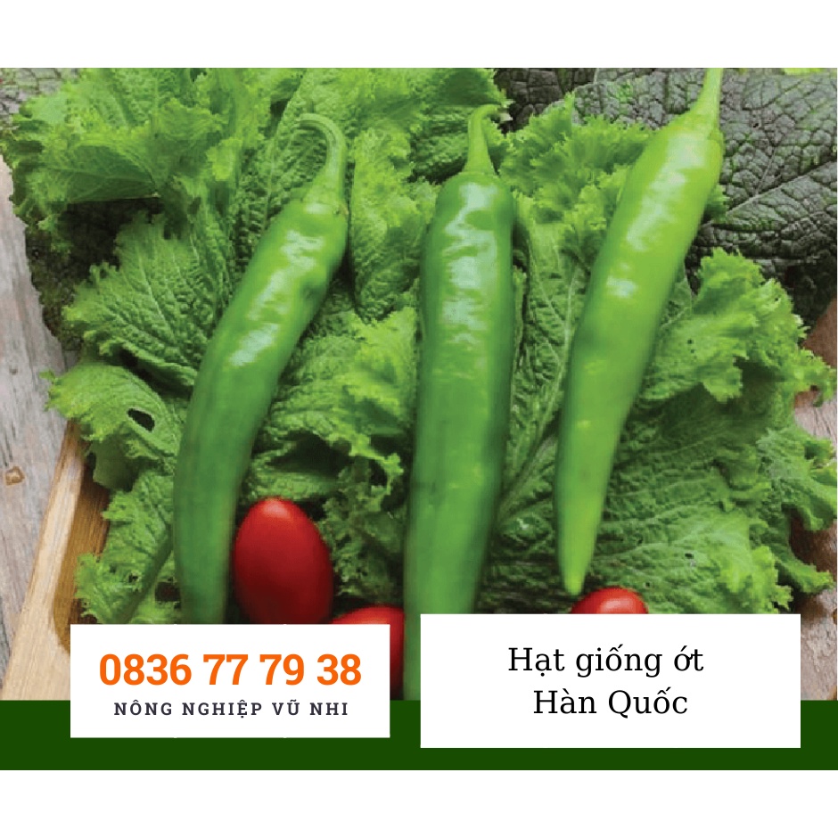 HẠT GIỐNG ỚT  HÀN QUỐC  - hatgiong24h