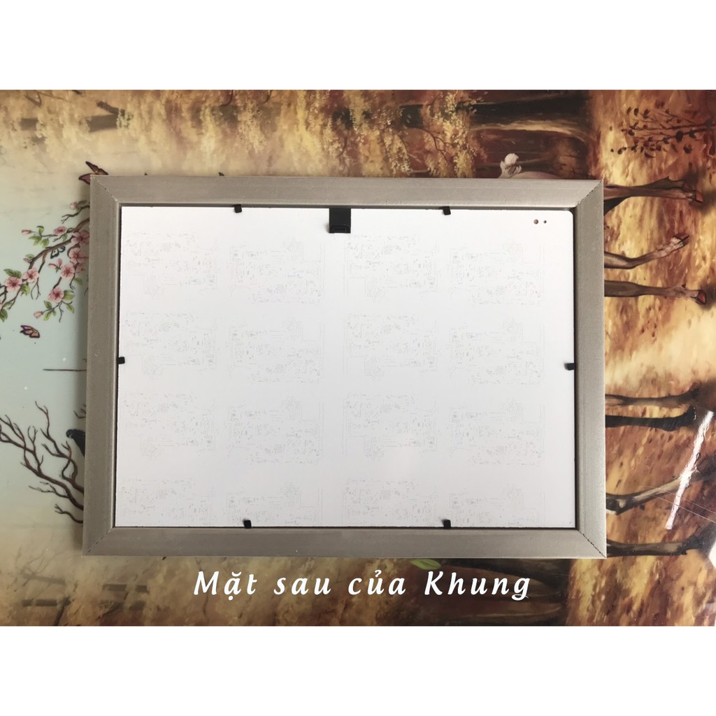 Khung ảnh, khung bằng khen A4 nâu viền vàng, tặng kèm đinh ba chân không phải khoan tường (CÓ HỎA TỐC)