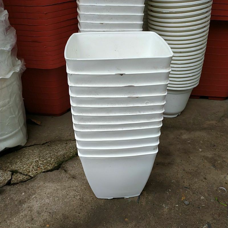 Combo 50 chậu nhựa vuông trồng cây kích thước 15x15 cm