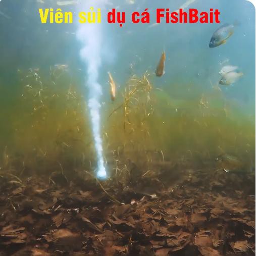 Viên sủi dụ cá Oxy Fishbait, viên sủi tạo bong bóng thu hút cá tiện lợi