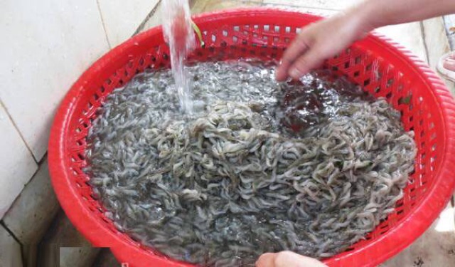 Mắm tép nhà làm, ruốc chua nghệ an chai 0,5 lít loại 1 nhà làm.