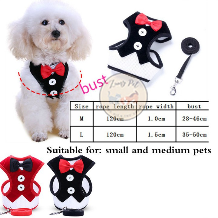 [Mã PET50K giảm Giảm 10% - Tối đa 50K đơn từ 250K] Đai/dây dắt chó mèo đi dạo kèm áo yếm có nơ dễ thương, tiện dụng