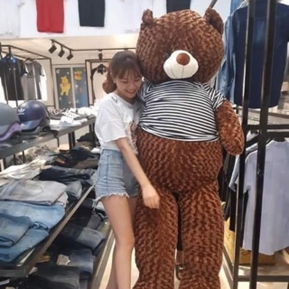 Gấu teddy 2m2