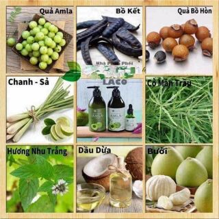 Dầu gội amla chiết xuất từ quả amla, bồ kết, chanh