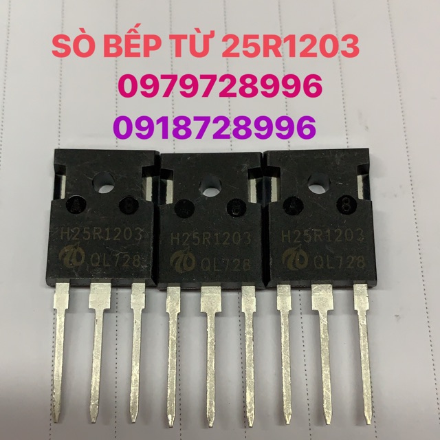 SÒ BẾP TỪ 25R1203