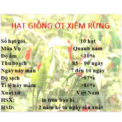 Hạt giống ớt xiêm rừng