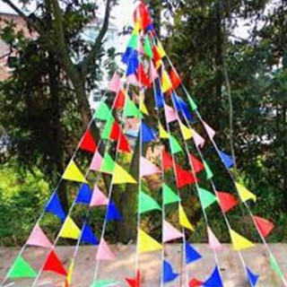 10m cờ dây tam giác
