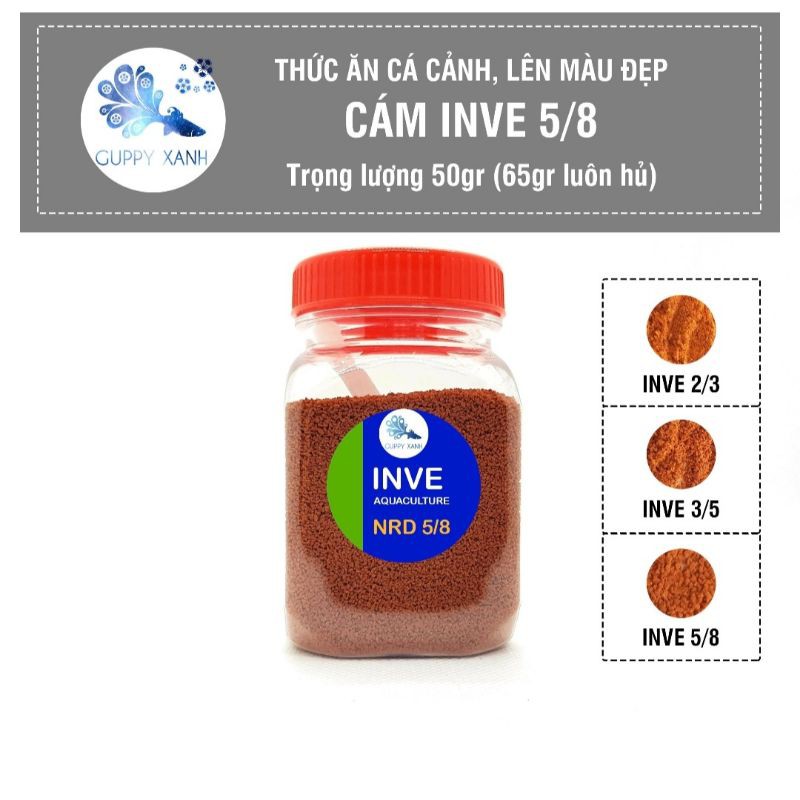 50gr Cám Thái INVE 3/5 | Thức Ăn Cao Cấp Cho Cá Guppy, Betta Guppy Xanh