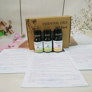 Combo 3 chai tinh dầu sả chanh, bạc hà, quế 10ml