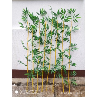 Cây trúc giả trang trí
