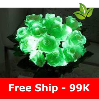  SƠN DẠ QUANG 9 màu phát sáng cực mạnh  sku sp LX7086  V10 in 1
