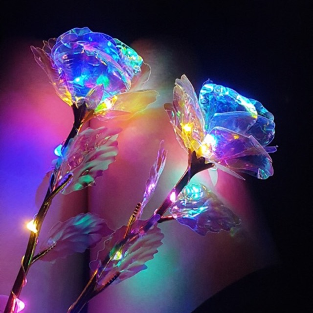Hoa hồng Hologram có đèn với không đèn