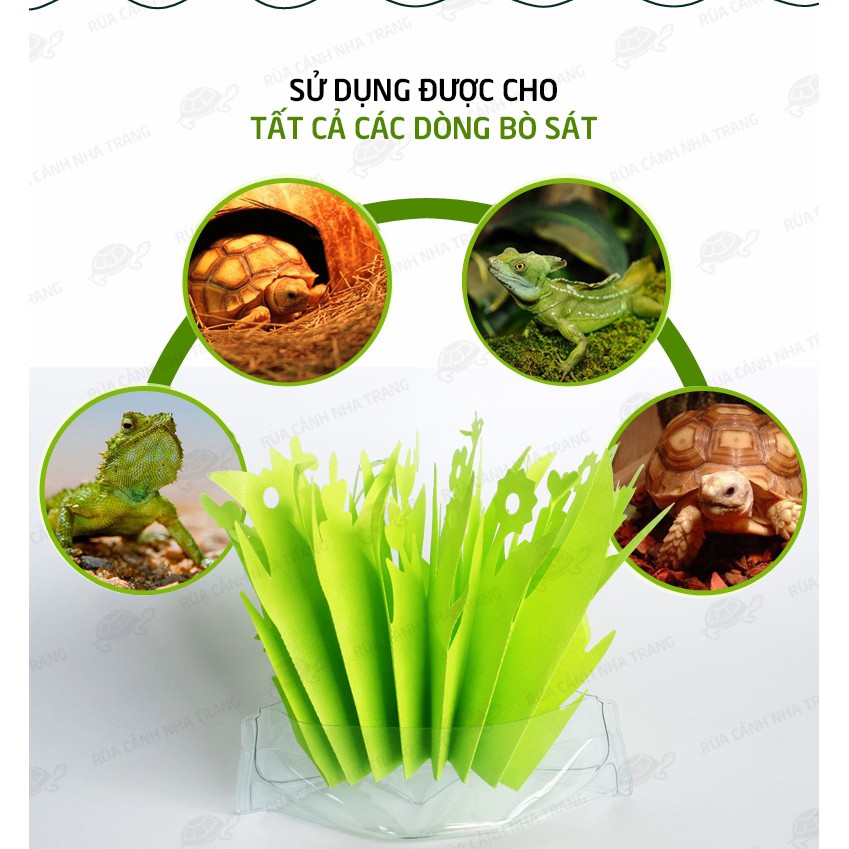 CỎ TẠO ĐỘ ẨM CHO BÒ SÁT, TẠO MÁT MẺ CHO THÚ CƯNG BÒ SÁT