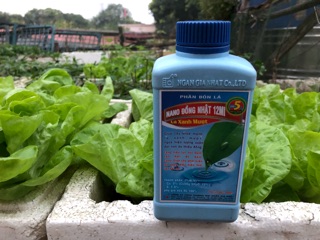 Nano Đồng