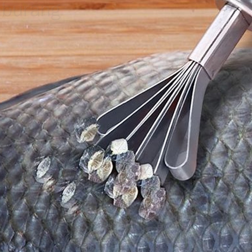 Dụng Cụ Đánh Vảy Cá Bằng Thép Không Gỉ