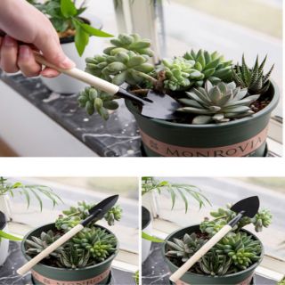 Bộ 3 dụng cụ làm vườn mini siêu cute