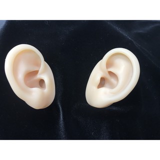 Tai giả tập xỏ khuyên