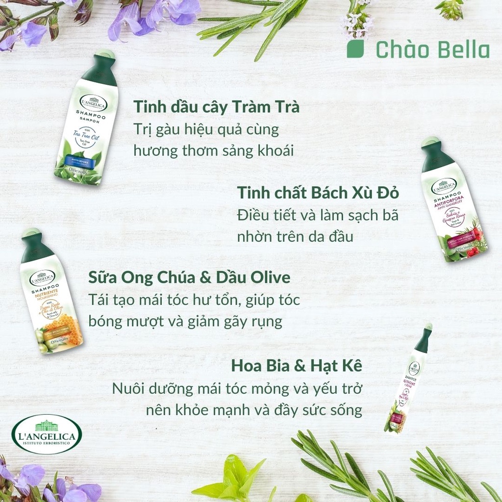 Combo Sữa Tắm (500ml) + Dầu Gội (250ml) Thảo Dược Nhập Khẩu Ý L'Angelica