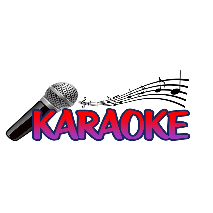 MICRO KARAOKE CÓ DÂY SHURE 959 CỰC HAY