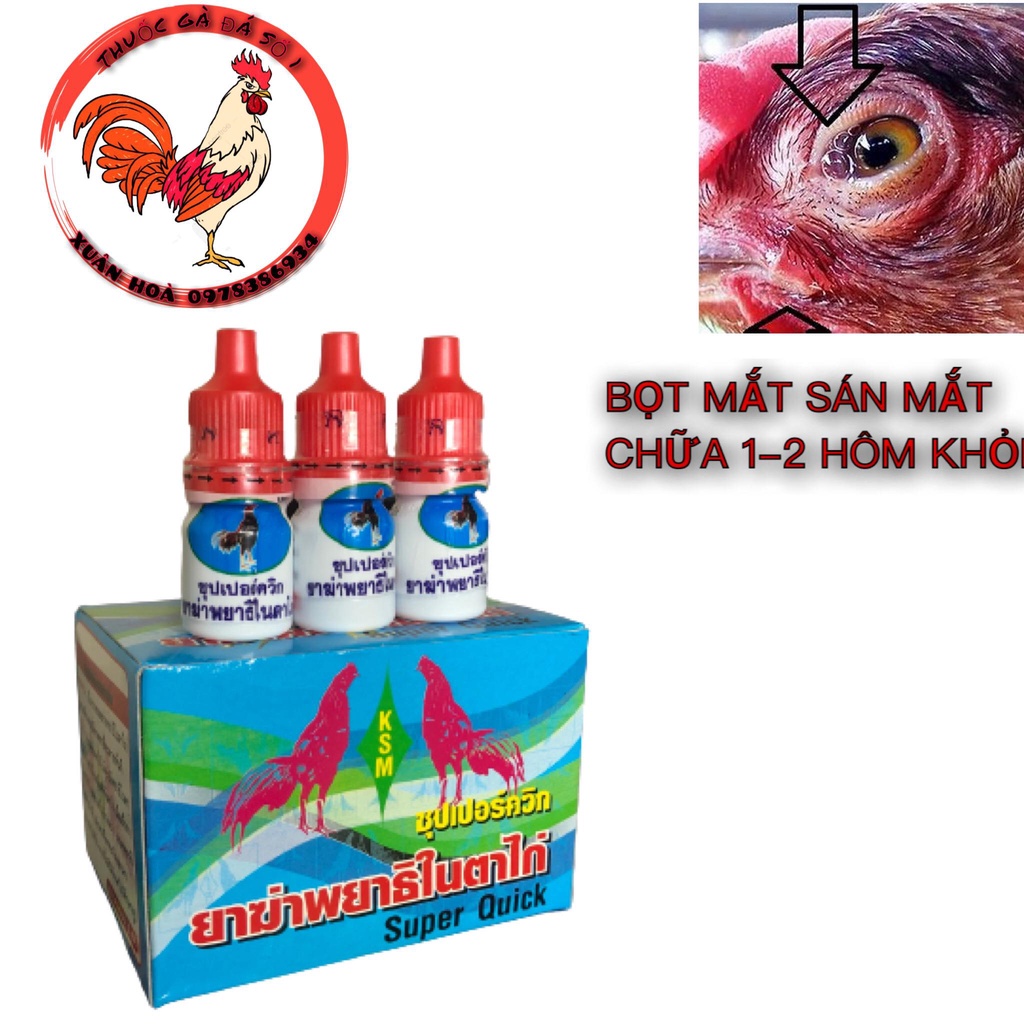 Mắt xanh gà đá nhỏ 1-2 lần khỏi