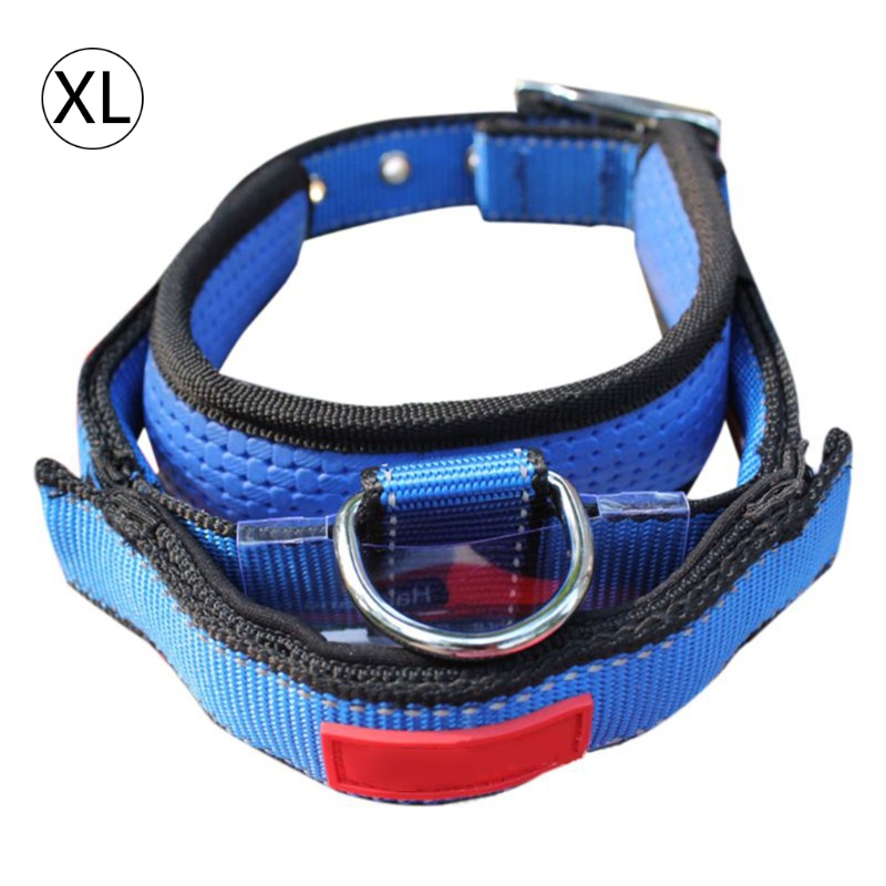 Vòng Cổ Nylon Đệm Mềm Thoáng Khí Có Thể Điều Chỉnh 5 Màu Dành Cho Thú Cưng Cỡ Nhỏ / Vừa / Lớn