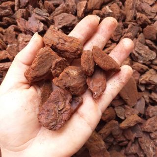 Vỏ thông mài cạnh. Giá thể trồng hoa lan. 20k/kg. Mua ngay để cho những cây lan của nhà bạn nhé.......................
