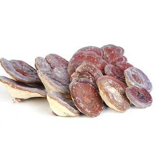NẤM LINH CHI NÚI ĐÁ HÀN QUỐC (1KG)