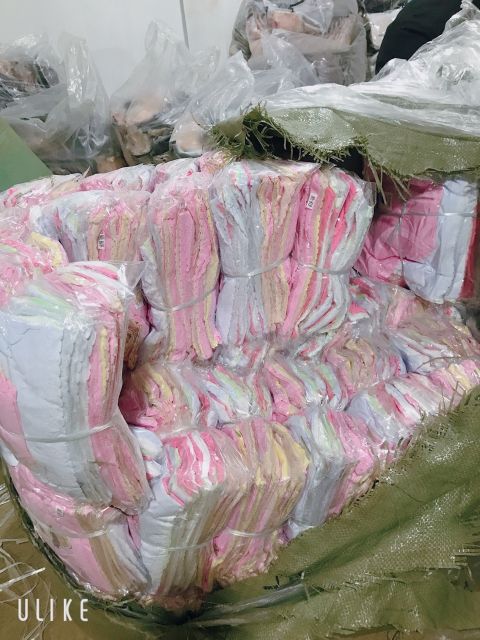 Quần cotton viền ren phom to